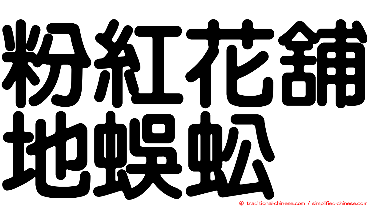 粉紅花舖地蜈蚣