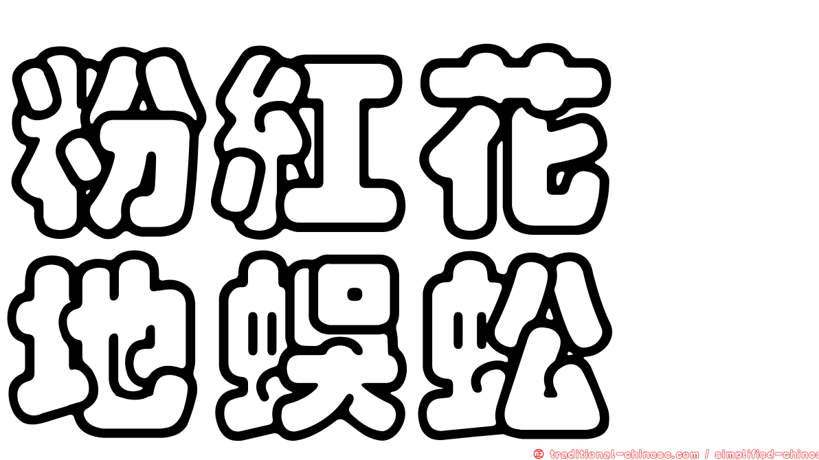 粉紅花舖地蜈蚣