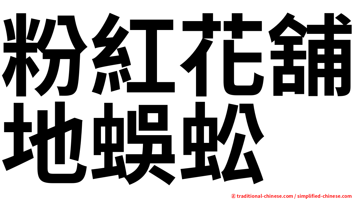 粉紅花舖地蜈蚣