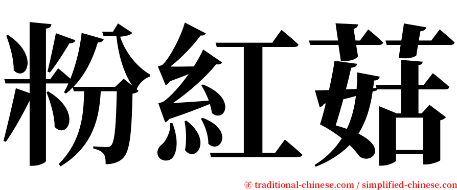 粉紅菇 serif font