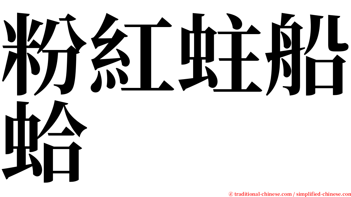 粉紅蛀船蛤 serif font