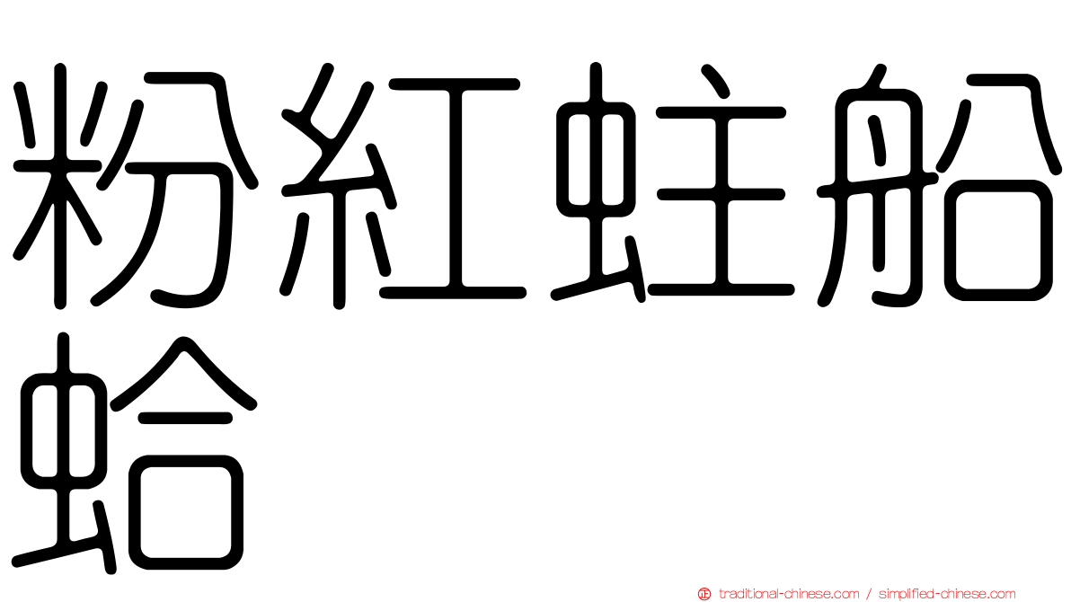 粉紅蛀船蛤