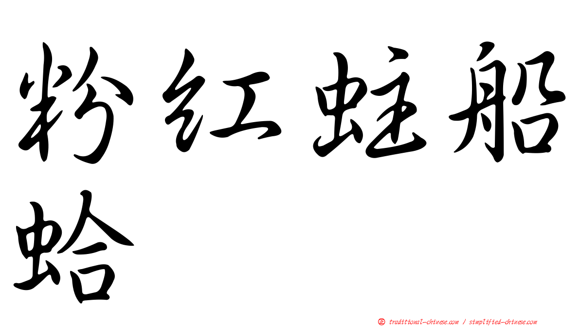 粉紅蛀船蛤
