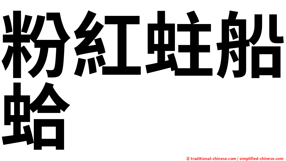 粉紅蛀船蛤