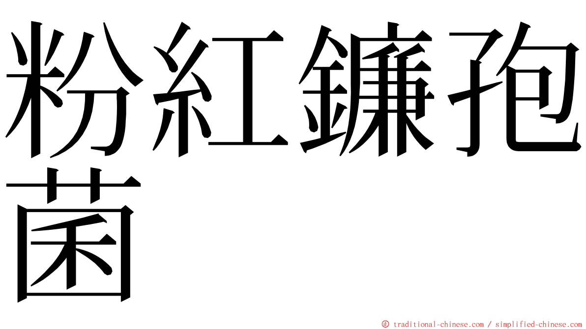 粉紅鐮孢菌 ming font