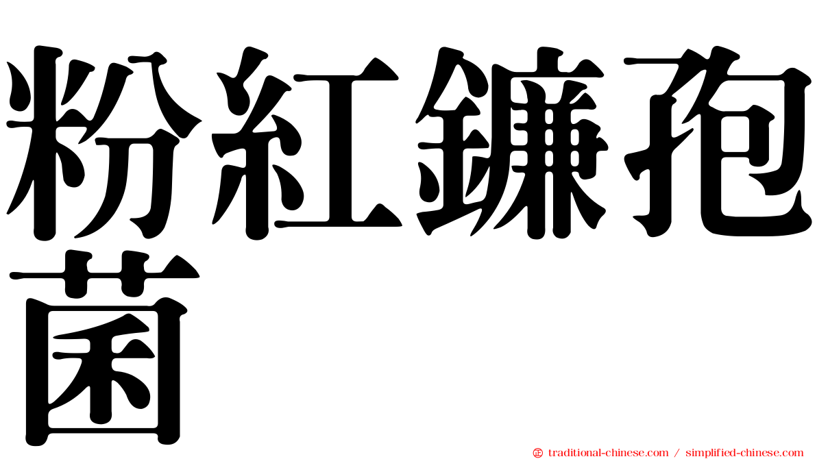 粉紅鐮孢菌