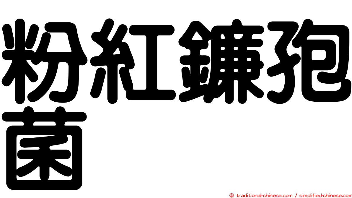 粉紅鐮孢菌