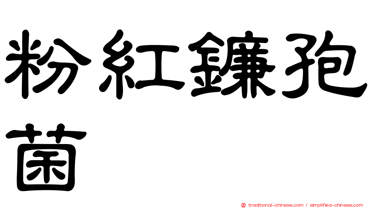 粉紅鐮孢菌