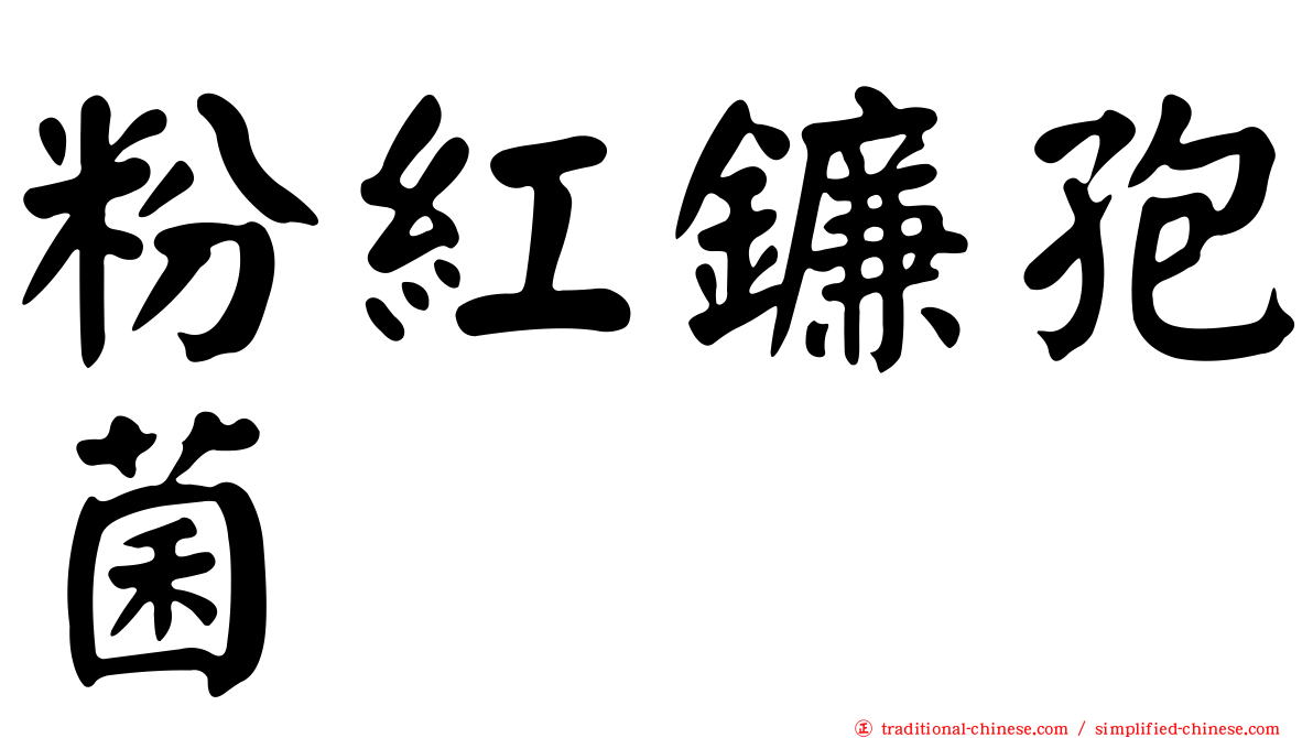 粉紅鐮孢菌