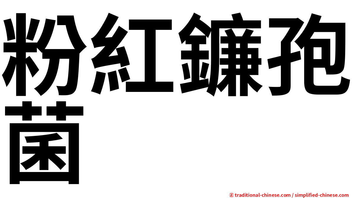粉紅鐮孢菌