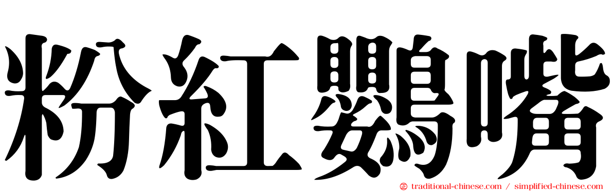 粉紅鸚嘴