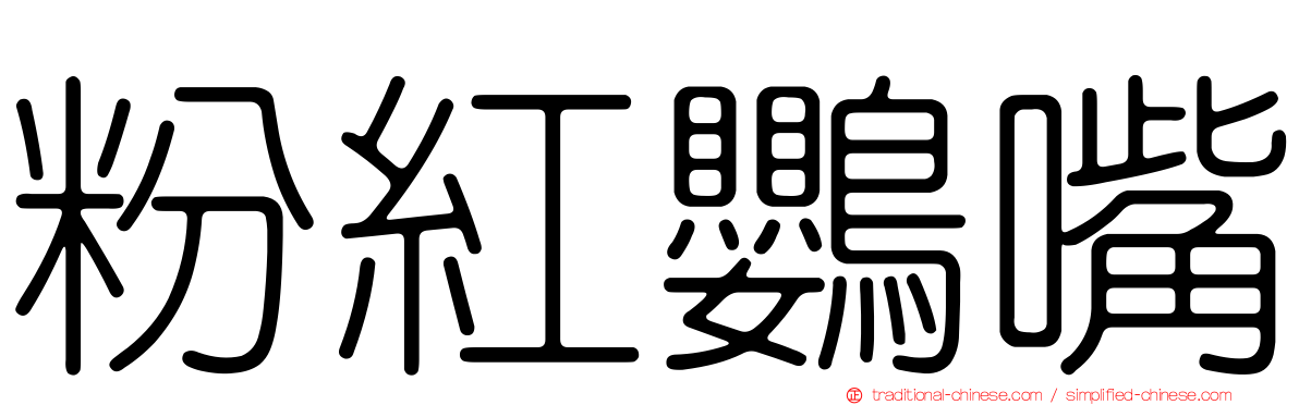 粉紅鸚嘴