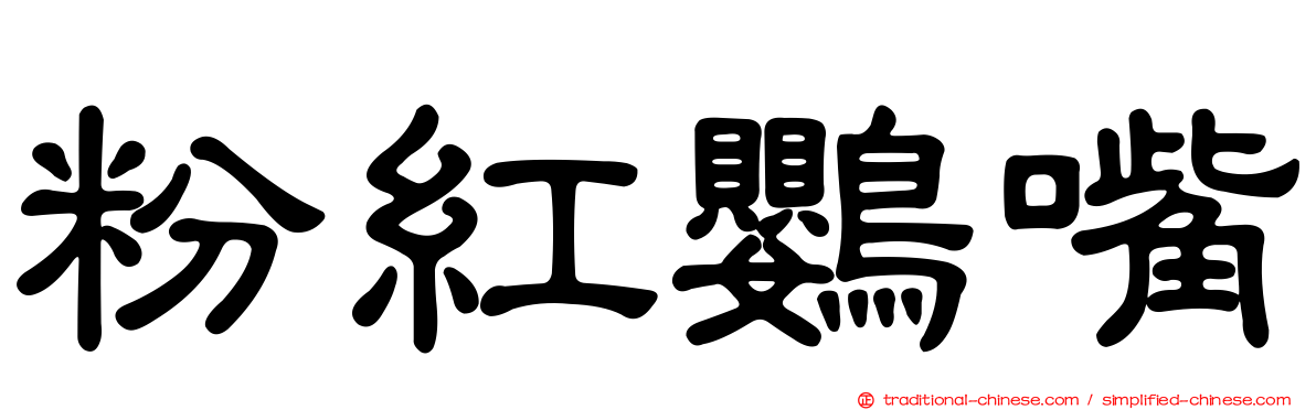 粉紅鸚嘴