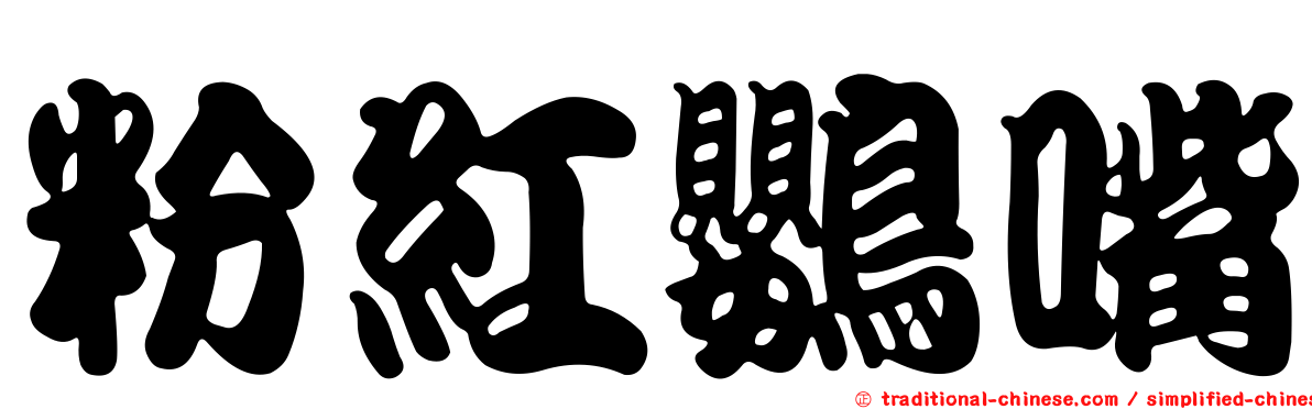 粉紅鸚嘴