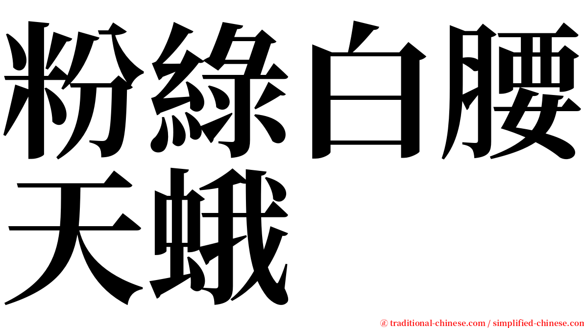 粉綠白腰天蛾 serif font