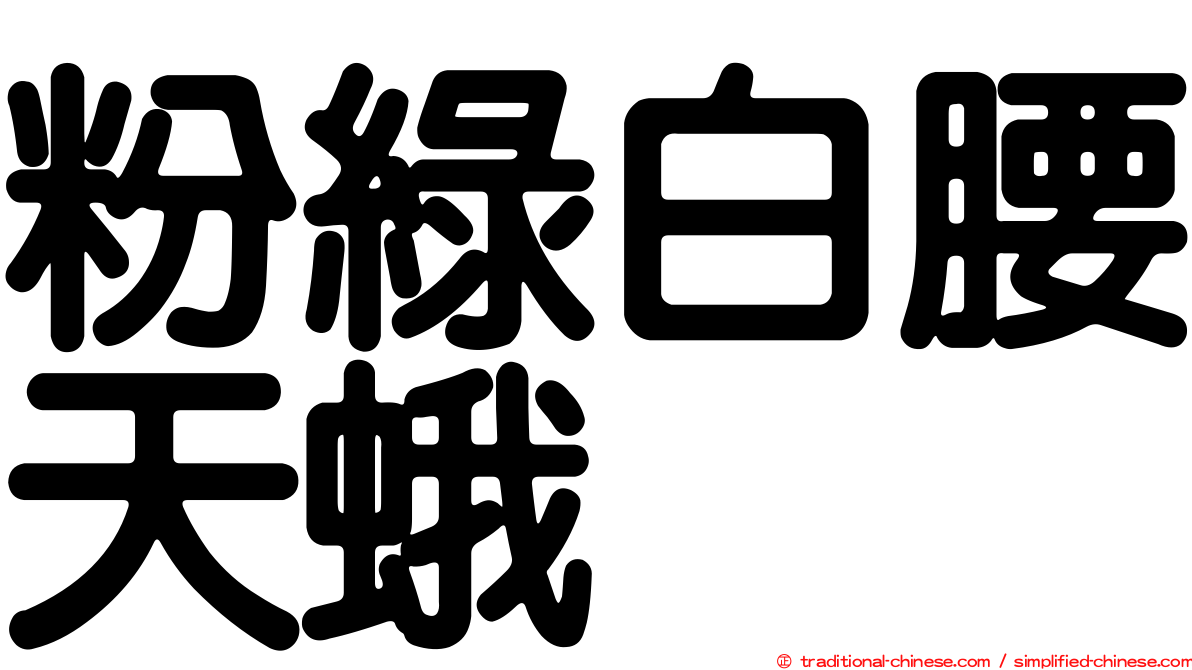 粉綠白腰天蛾