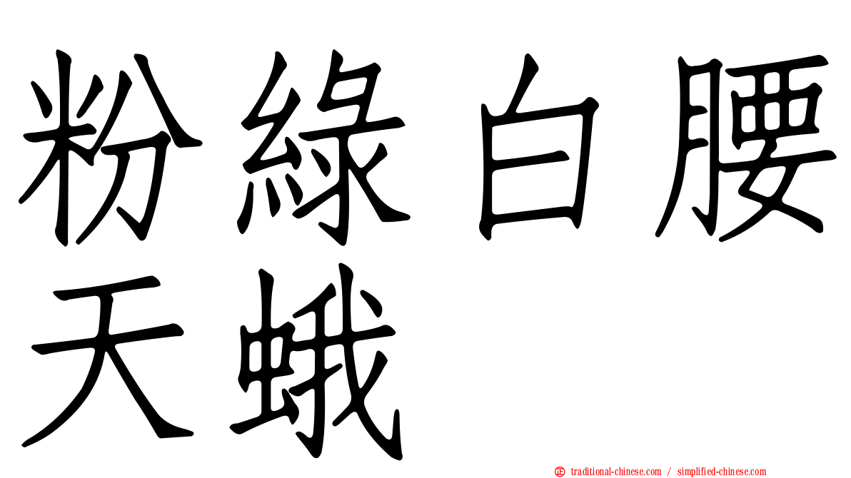 粉綠白腰天蛾