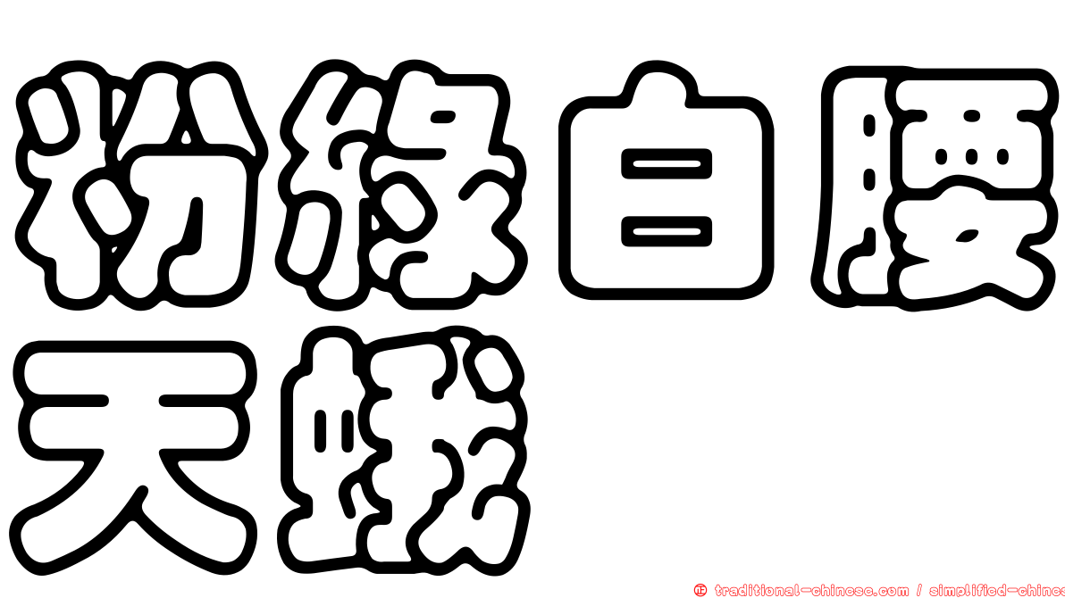粉綠白腰天蛾