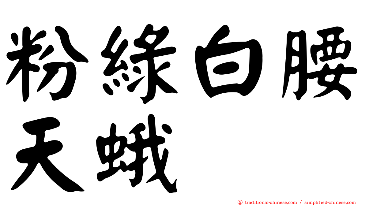粉綠白腰天蛾