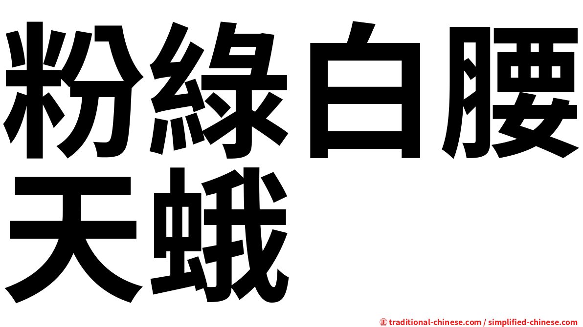 粉綠白腰天蛾