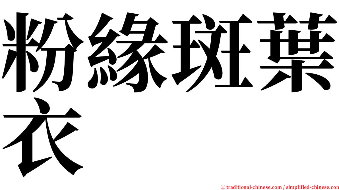 粉緣斑葉衣 serif font