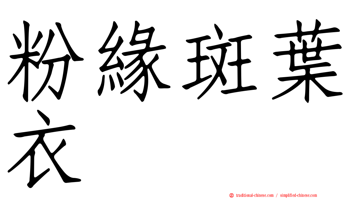 粉緣斑葉衣
