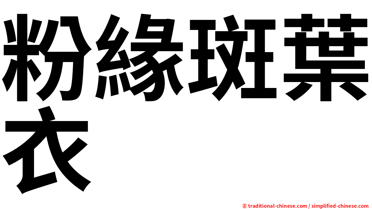 粉緣斑葉衣