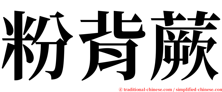 粉背蕨 serif font