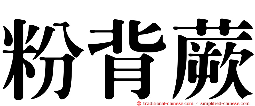 粉背蕨