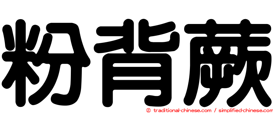粉背蕨