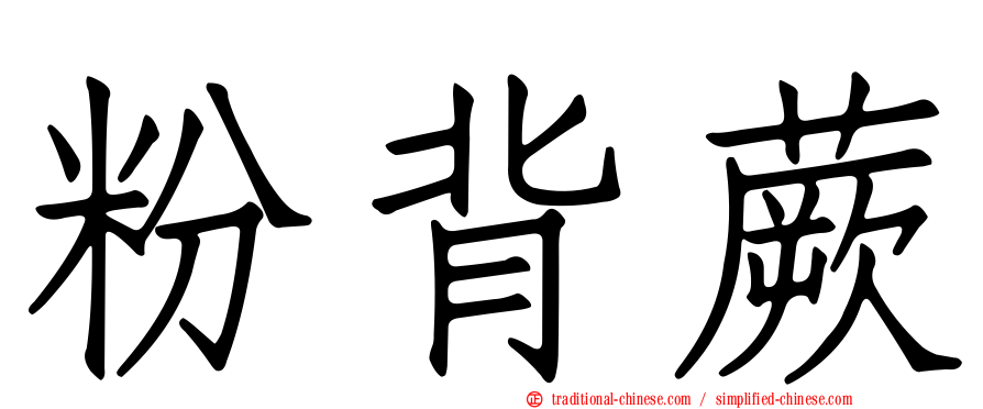 粉背蕨