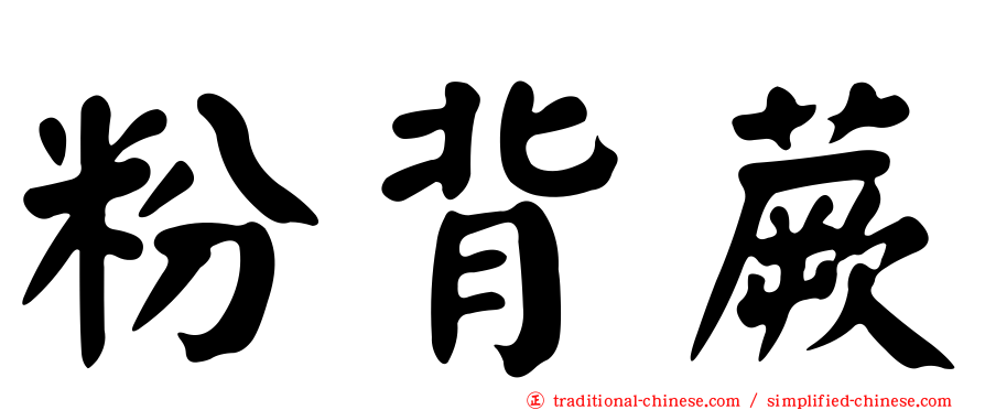粉背蕨