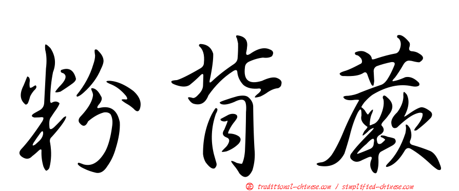 粉背蕨