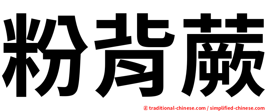 粉背蕨