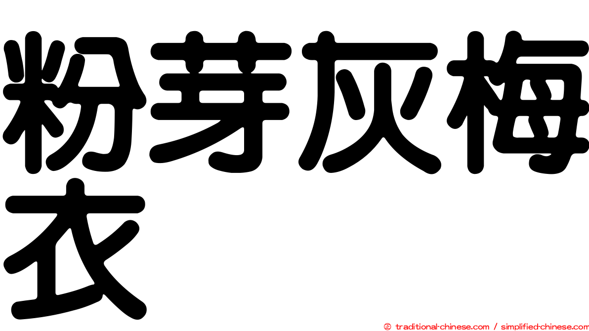粉芽灰梅衣