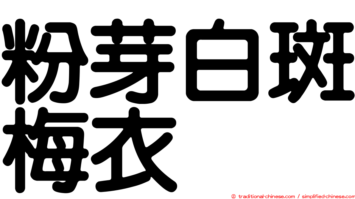 粉芽白斑梅衣