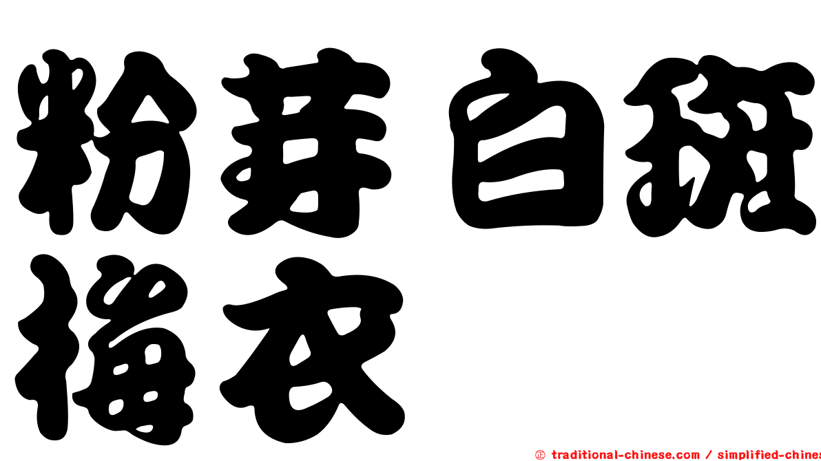 粉芽白斑梅衣