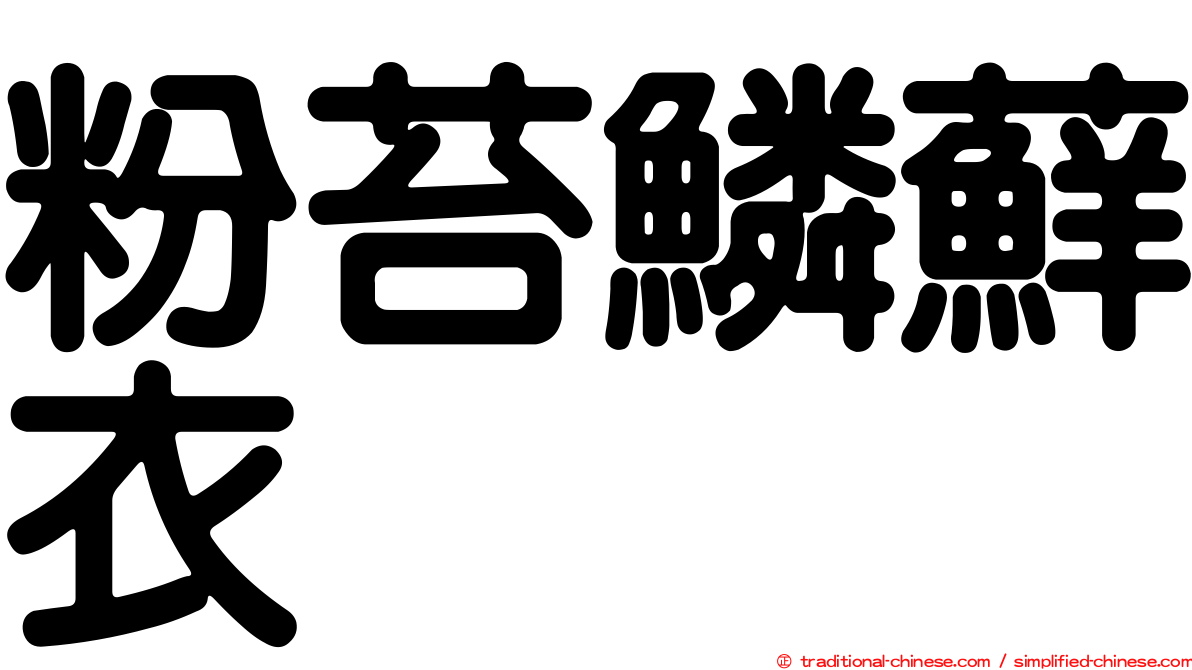 粉苔鱗蘚衣