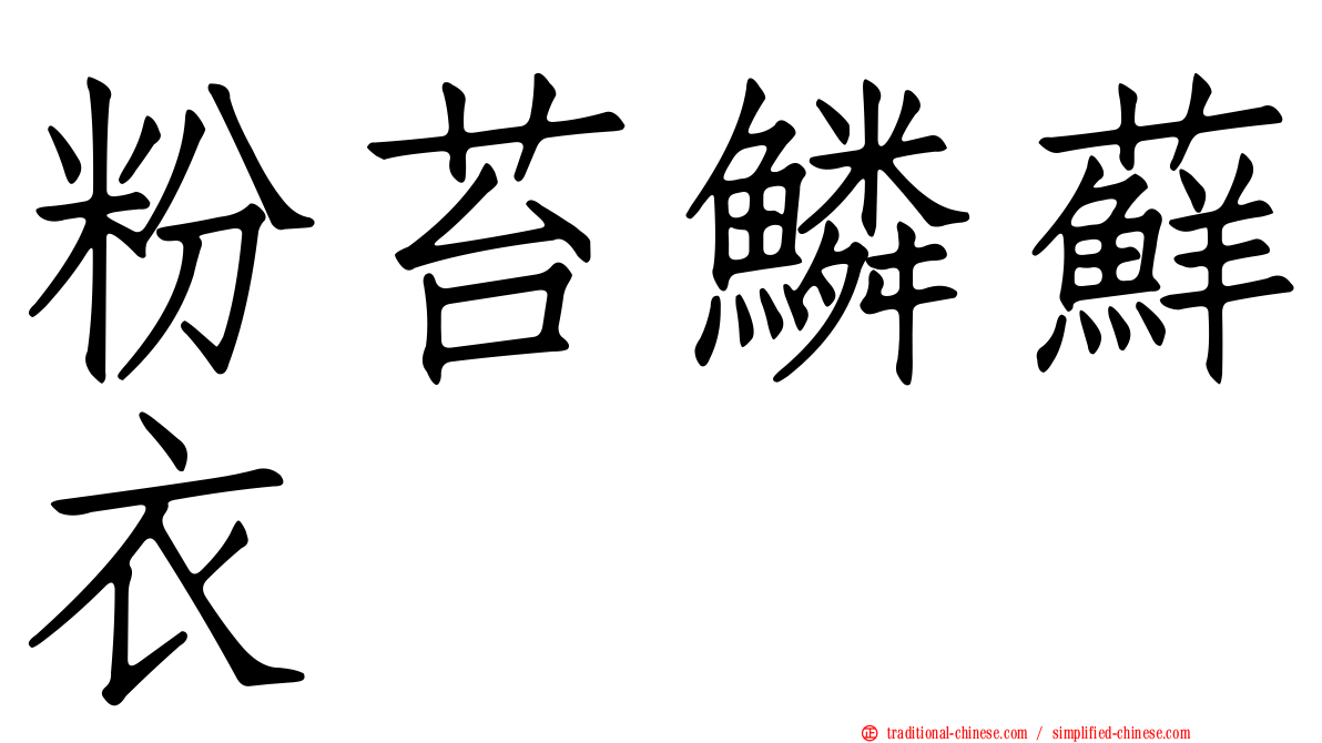 粉苔鱗蘚衣