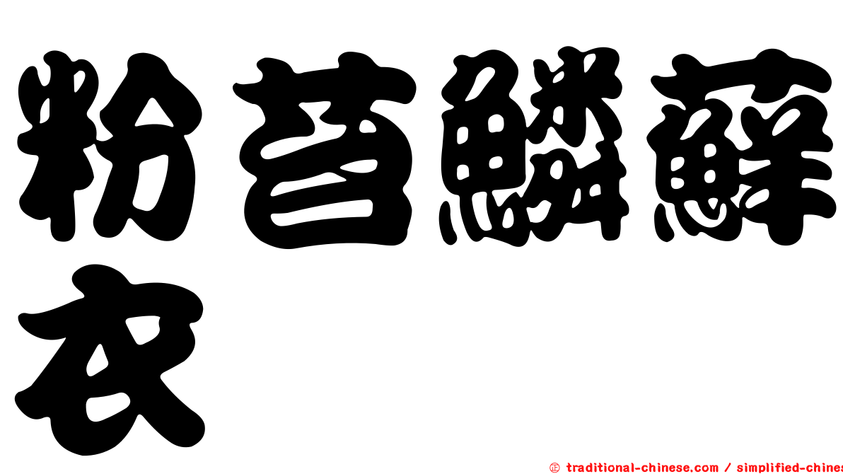 粉苔鱗蘚衣
