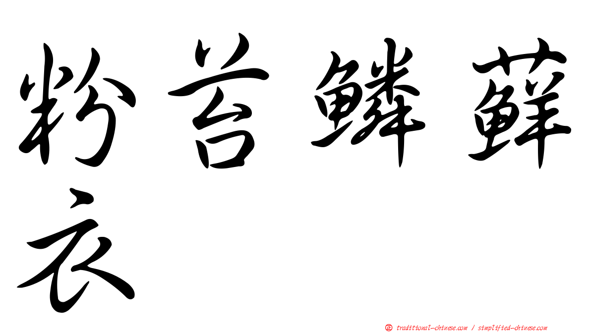 粉苔鱗蘚衣