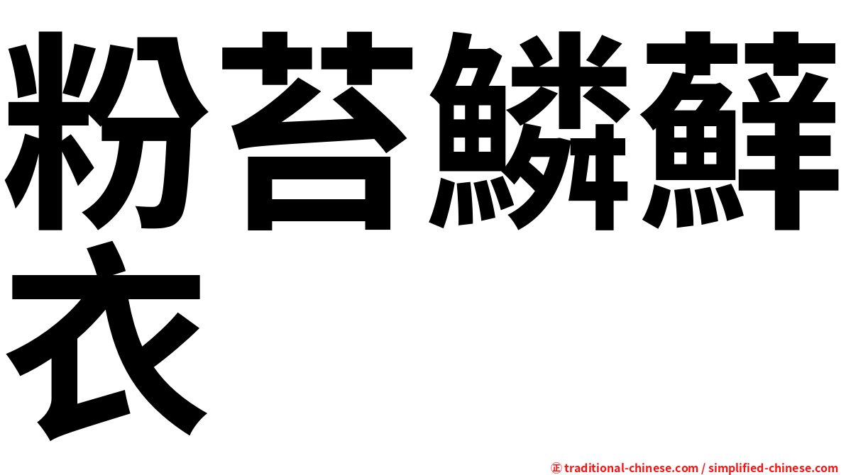 粉苔鱗蘚衣