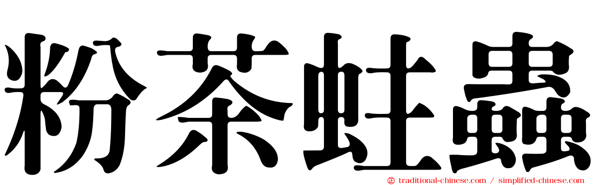粉茶蛀蟲