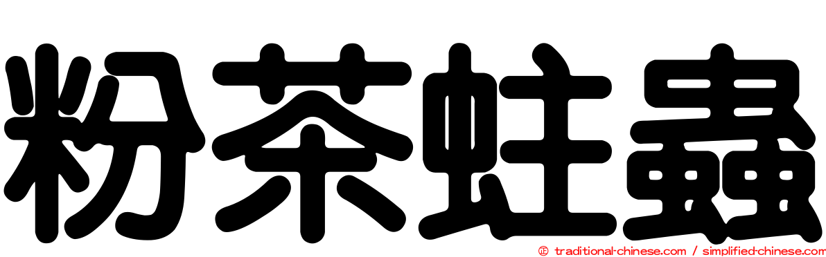 粉茶蛀蟲