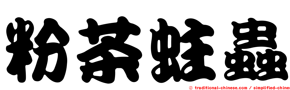粉茶蛀蟲