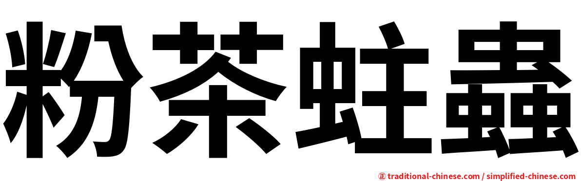 粉茶蛀蟲