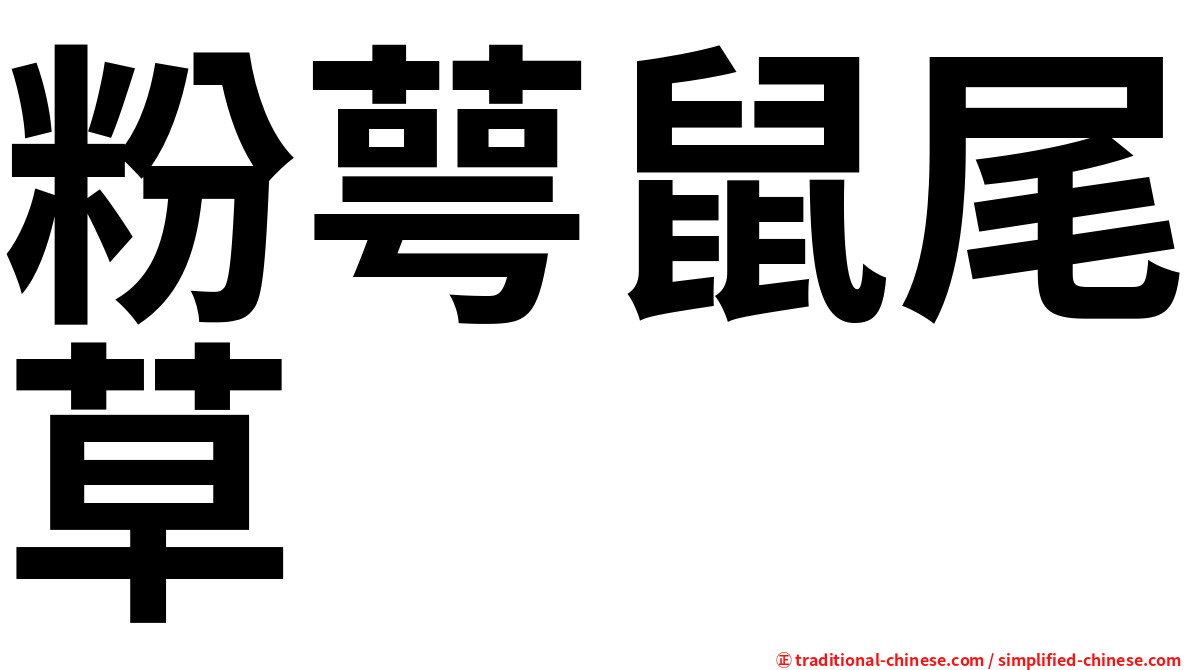 粉萼鼠尾草