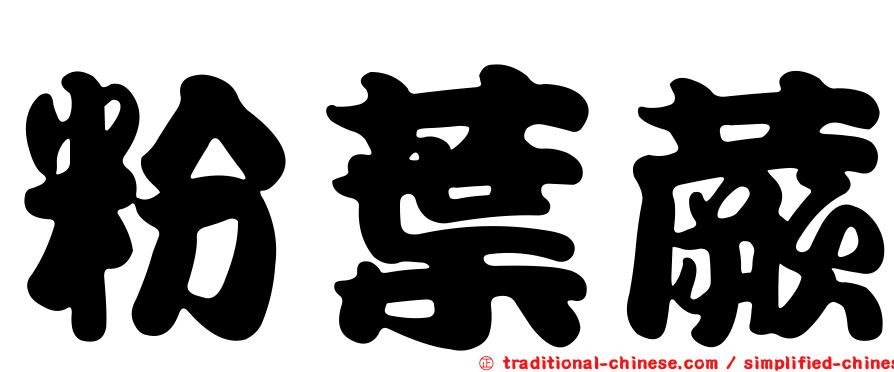 粉葉蕨
