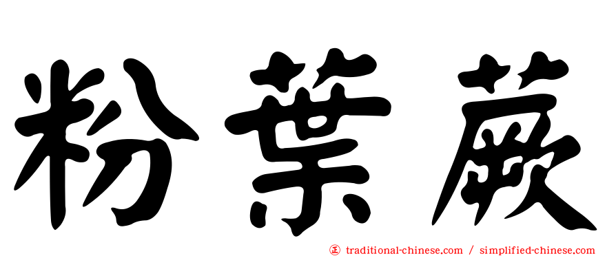 粉葉蕨