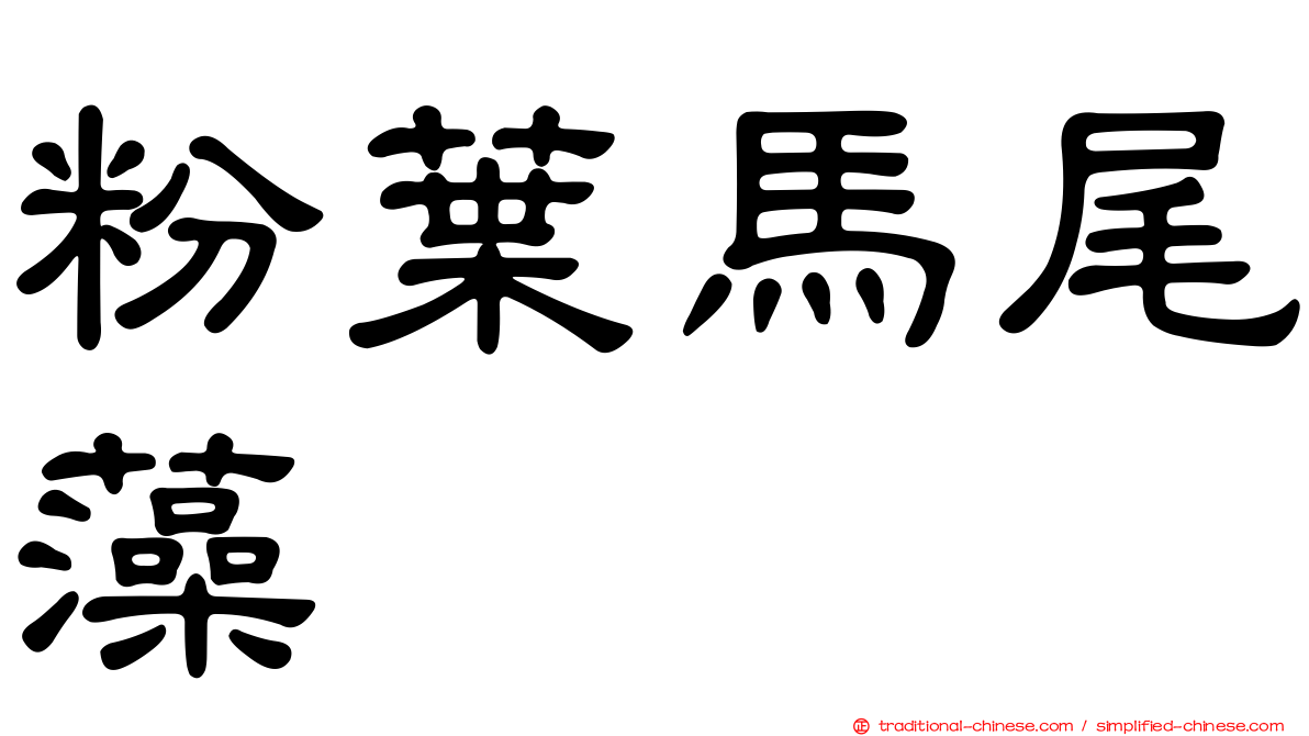 粉葉馬尾藻